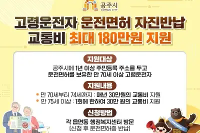 면허 반납하면 180만원...지자체들 고령 운전자 사고 줄이기 안간힘