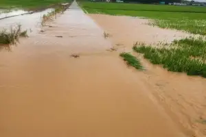 태안군, 농경지 배수개선 등 209억 확보