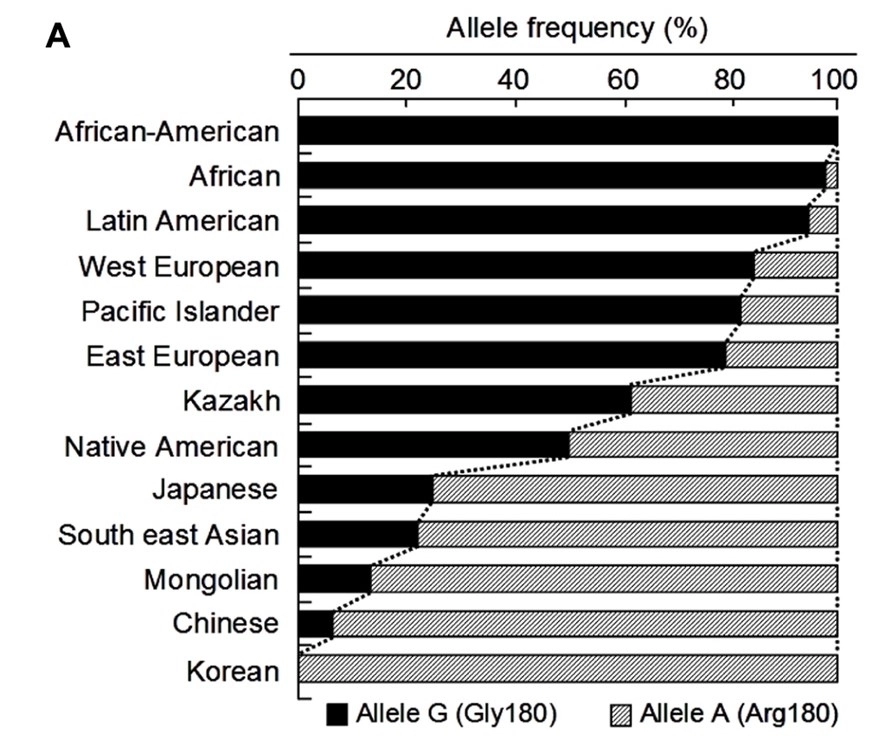 2013년 1월 국제 학술 저널 ‘프론티어스 인 제네틱스’에 게재된 아포크린 땀샘의 땀 분비에 관여하는 ABCC11 유전자 관련 연구 자료. 인종별 ABCC11 유전자 보유 비율을 보여주고 있다. 프론티어스 인 제네틱스 홈페이지 캡처