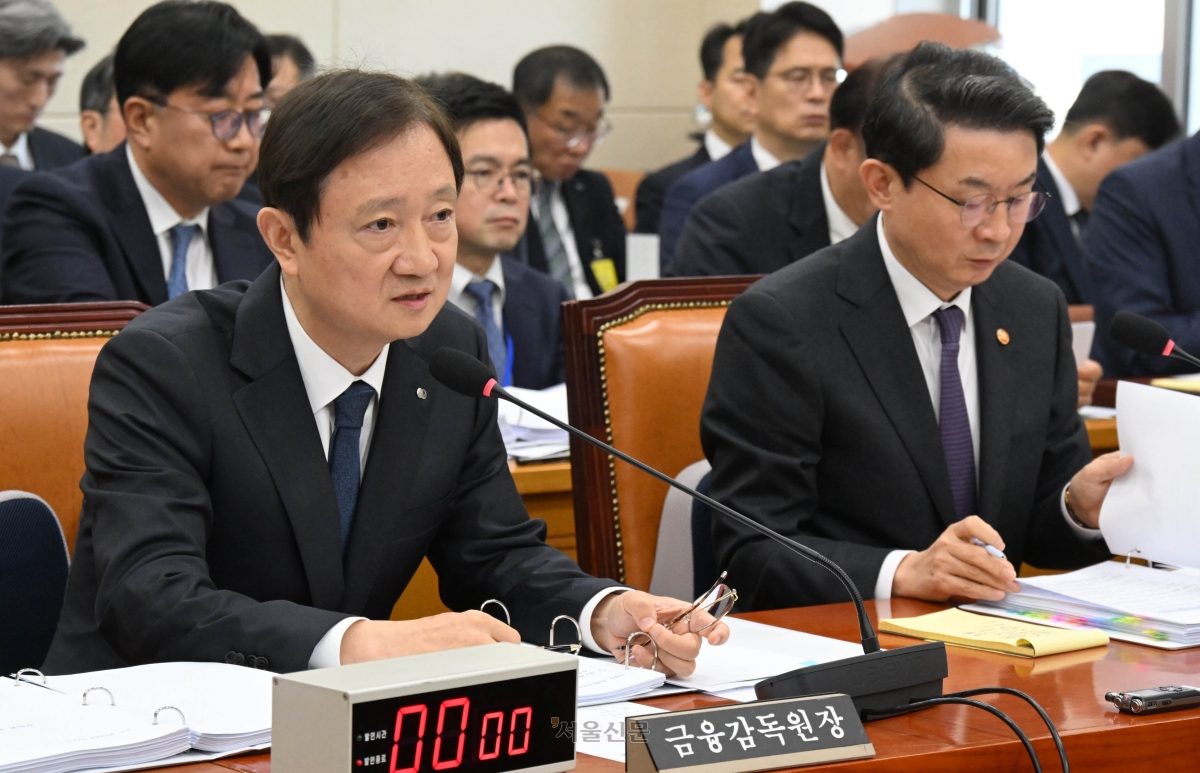 이찬진 금융감독원장이  27일 서울 여의도 국회에서 열린 정무위원회의 종합감사에서 위원 질의에 답하고 있다. 2025.10.27 서울신문DB