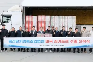 담양군, 봉산 ‘금실 딸기’ 새해 첫 수출길 올라…싱가포르 선적