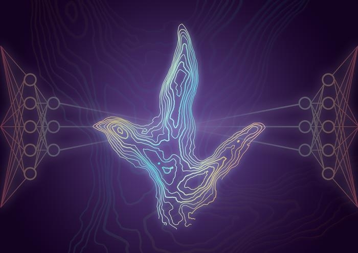 스코틀랜드 스카이 섬에서 발견된 쥐라기 시대 공룡 발자국을 사진측량 모델 기반 5㎜ 등고선으로 표현했다. 기계 학습 신경망을 나타내는 도식도가 중첩된 모습.  영국 에든버러대 제공