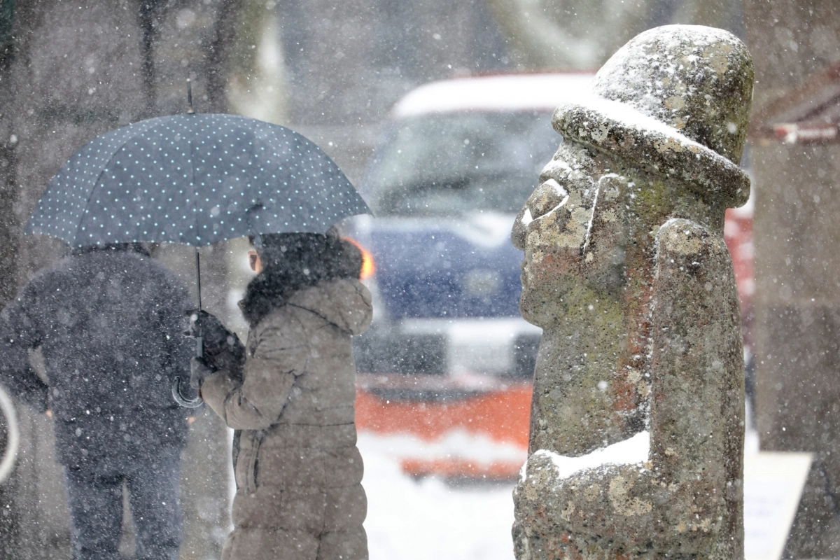 제주도 산지에 대설특보가 내려진 22일 오전 제주시 조천읍 교래리 산굼부리 입구에 폭설이 쏟아지고 있다. 2026.1.22 연합뉴스