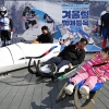 동계올림픽 썰매 체험