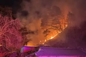 동해 달방동 산불 진화…산림 당국, 뒷불 감시 체제 전환