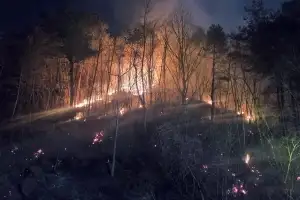 건조한 날씨에…동해·강진·무안·남해·파주서 산불