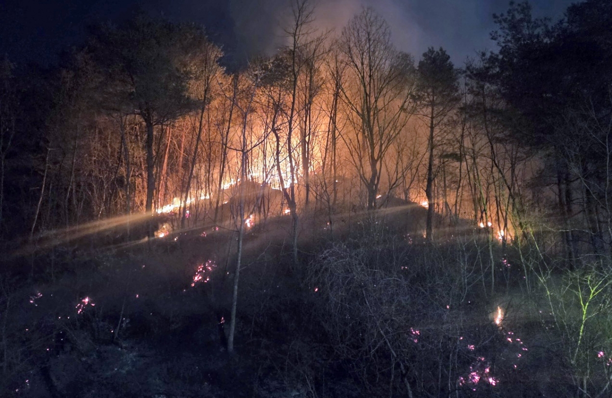 1일 오후 강원 동해시 달방동의 한 야산에서 산불이 발생해 진화대원이 투입돼 불을 끄고 있다. 연합뉴스