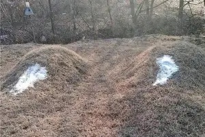옥천 야산 묘소 11기 ‘소금 테러’…노인 2명 재물손괴 혐의 입건