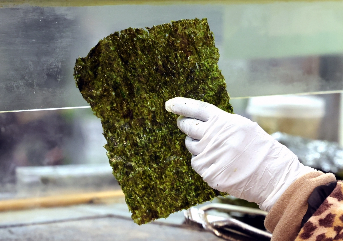 김이 아니라 金이네