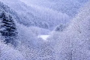 [포토] ‘환상적인 설경’ 인제 비밀의 정원