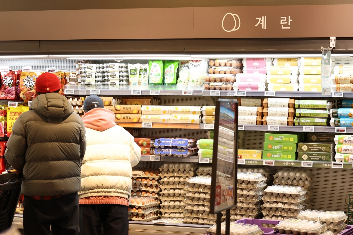 설 명절 앞두고 고기·달걀값 부담… 축산물 전반 상승세