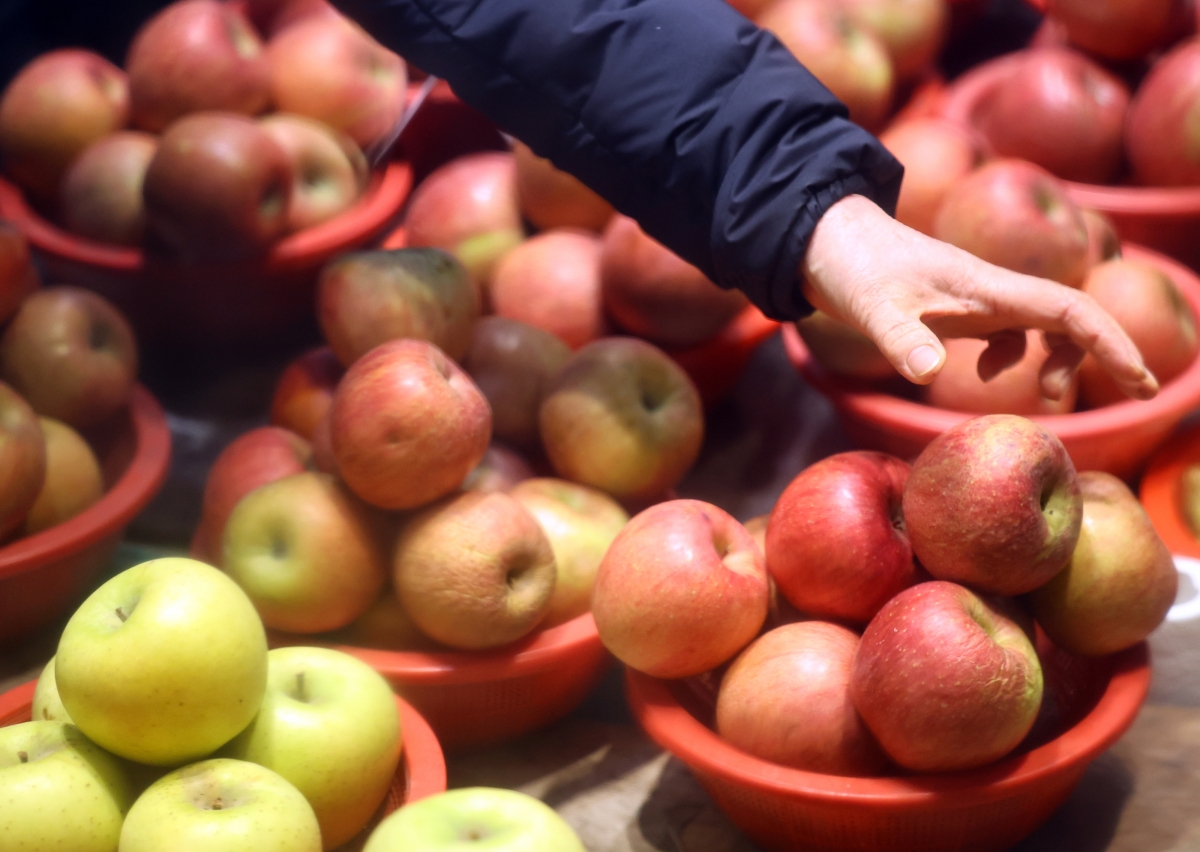 설 명절을 앞둔 25일 서울 청량리 농수산물시장에서 고객이 사과를 고르고 있다. 2026.1.25 뉴시스