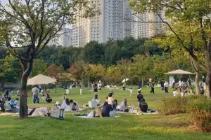 수원시, 4개 도시공원 ‘피크닉존’ 지정…그늘막 한시 허용