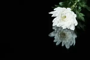 “150억 내놔”…40년 전 집 나간 母, 동생 죽자 나타나 “내가 상속자”