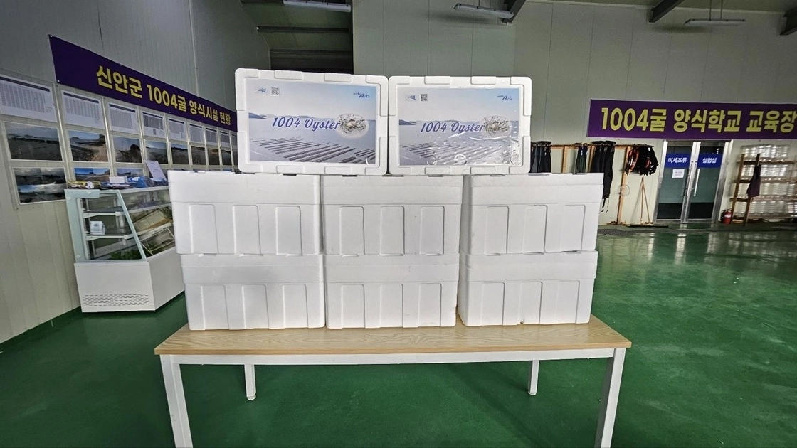 전남 신안군의 ‘1004 굴’이 홍콩 수출길에 오르게 됐다. 사진은 수출 선적을 위해 포장된 ‘1004 굴’ 모습. (신안군 제공)