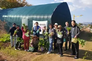 수확 꿈꾸는 ‘서울 농부’… 도시텃밭 9016구획 분양