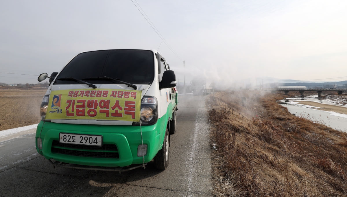 아프리카돼지열병(ASF)이 잇따라 발생하며 방역에 비상이 걸린 가운데 26일 경기 안성시 미양면 일대에서 안성시 관계자가 집중 소독 및 방역 작업을 하고 있다. 2026.1.26. 뉴스1