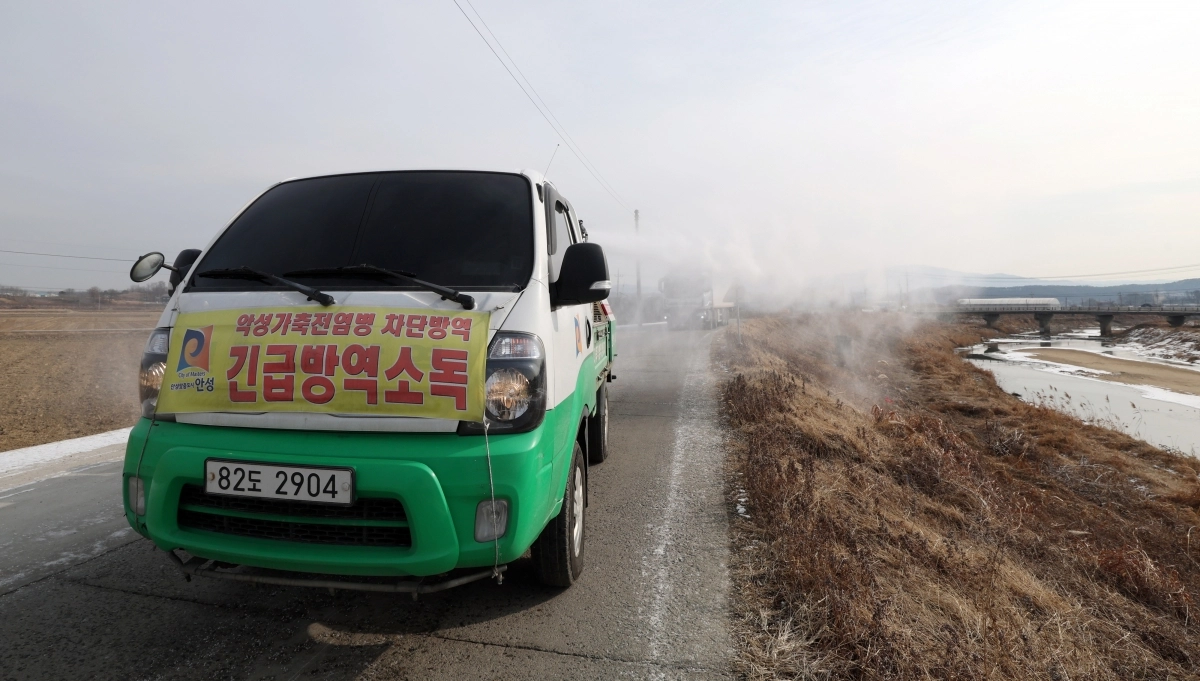 아프리카돼지열병(ASF)이 잇따라 발생하며 방역에 비상이 걸린 가운데 26일 경기 안성시 미양면 일대에서 안성시 관계자가 집중 소독 및 방역 작업을 하고 있다. 2026.1.26. 뉴스1