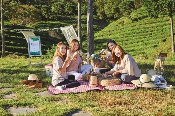 보성다향대축제를 방문한 관람객들이 보성 차밭에서 차를 마시고 있다.  보성군 제공