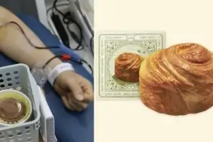 헌혈의집에 또 줄서야 하나…‘두쫀쿠’ 이어 성심당이라니