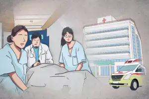 제주서 파쇄기 작업하던 30대 외국인 남성 손가락 3개 절단…서울 소재 병원 이송