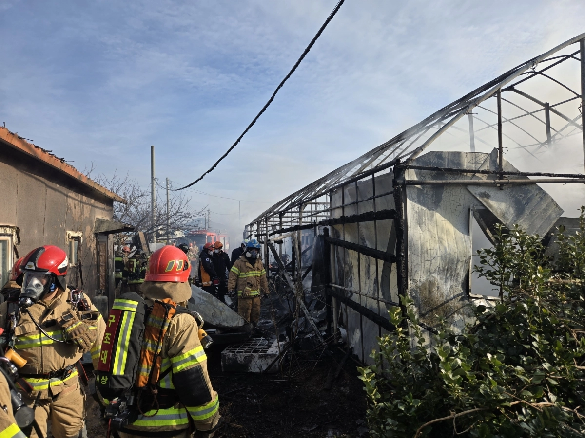 부산 강서구 강동동 한 비닐하우스 작업장에서 4일 오전 8시 38분쯤 화재가 발생해 안에 있던 50대 남성 1명이 숨졌다. 부산소방재난본부 제공
