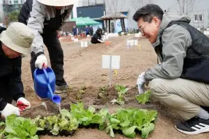 도전! 도시농부… 성동, 도심 텃밭 503개 구역 분양
