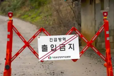 충남 고원성 AI·ASF 등 가축전염병…설 앞두고 방역 ‘비상’