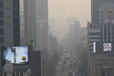 추위 가고 찾아온 미세먼지