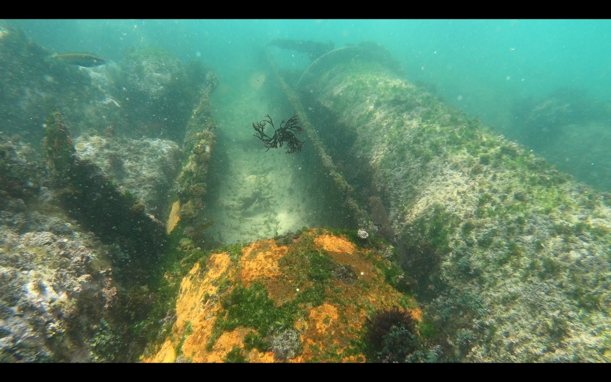 연안 곳곳에 버려진 폐파이프. 해양시민과학센터 ‘파란’ 제공