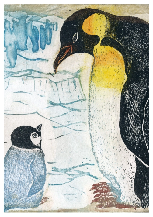 미조카미 이쿠코의 삽화. 극한의 땅에서 사는 황제펭귄을 그렸다. 공명 제공