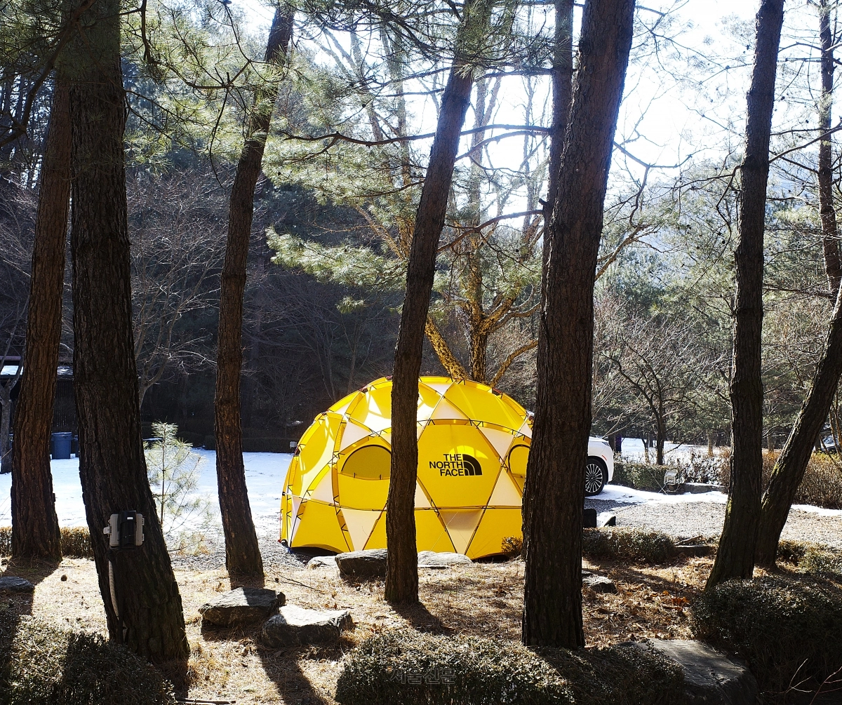[천태만컷] 한 주를 내려놓는 시간