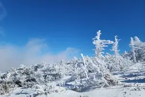 제주, 7일밤부터 8일 오후 폭설 가능성… 하늘길·뱃길 운항 차질 우려