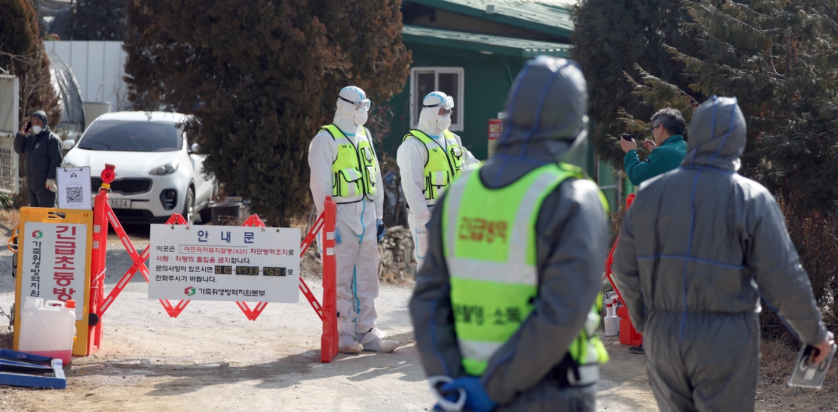경남 창녕군 대합면 아프리카돼지열병(ASF)이 발생한 돼지 사육 농가 주변에서 방역 당국이 현장을 통제하고 있다. 연합뉴스