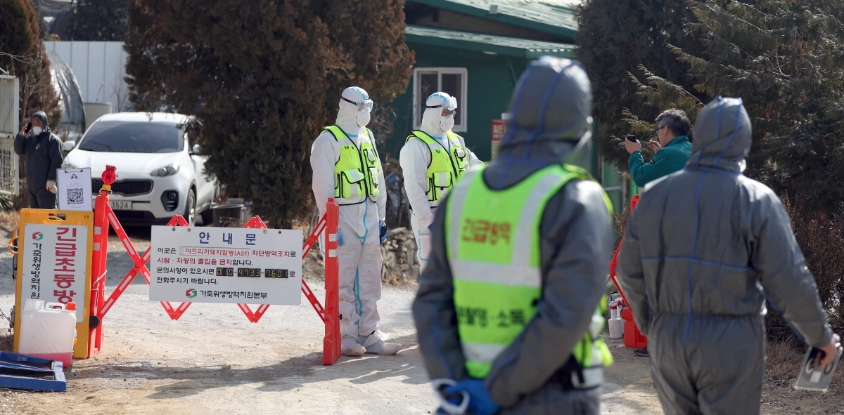 경남 창녕군 대합면 아프리카돼지열병(ASF)이 발생한 돼지 사육 농가 주변에서 방역 당국이 현장을 통제하고 있다. 연합뉴스