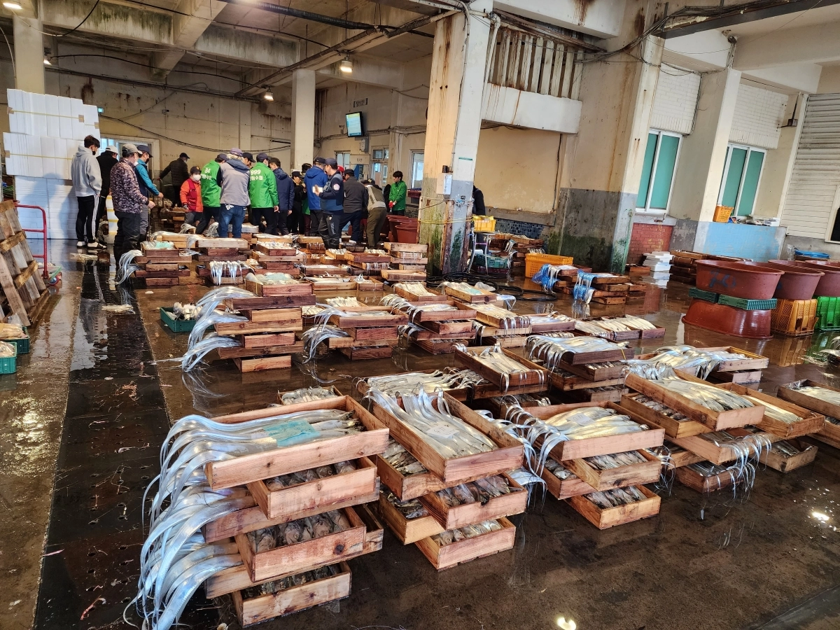 해양수산연구원은 설명절을 맞아 5일부터 14일까지 10일간 도내 주요 위판장과 양식수산물을 대상으로 설 명절 대비 수산물 안전성 조사를 실시한다. 제주도 제공