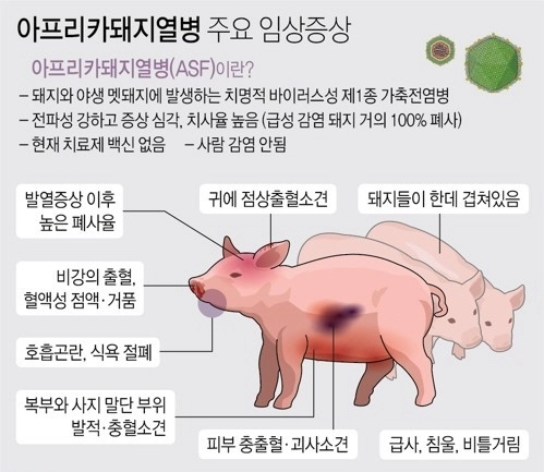 농림축산식품부 자료