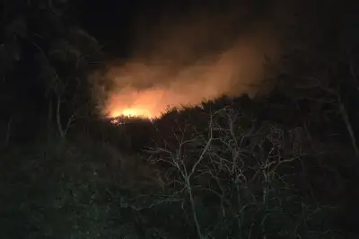 경주서 산불 잇따라…소방 대응 1단계 발령