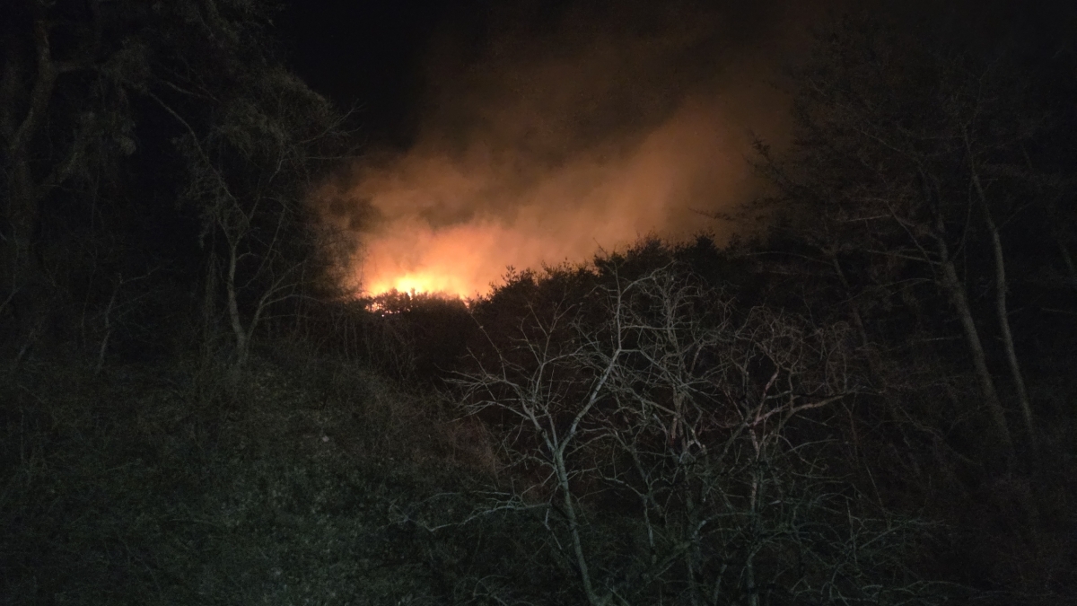 경주 양남면 산불…소방, 대응1단계 발령
