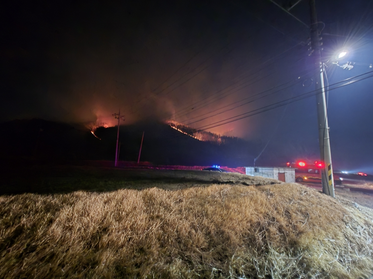 경북 경주시 문무대왕면 한 야산에서 지난 7일 오후 9시 40분쯤 발생한 산불. 경북소방본부 제공