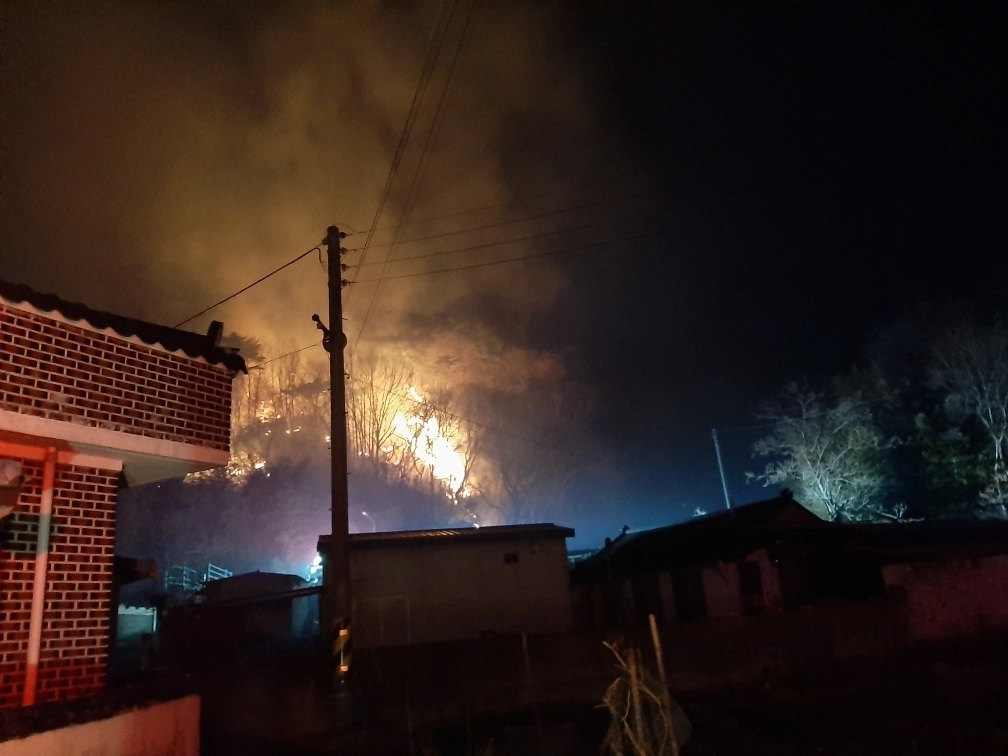 경북 포항시 북구 죽장면 한 야산에서 8일 오전 5시 30분쯤 발생한 산불. 경북소방본부 제공