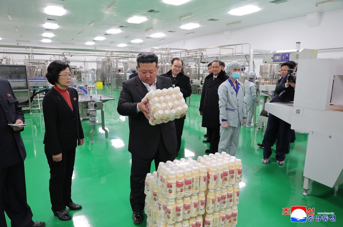 북한, 삼광축산농장 조업