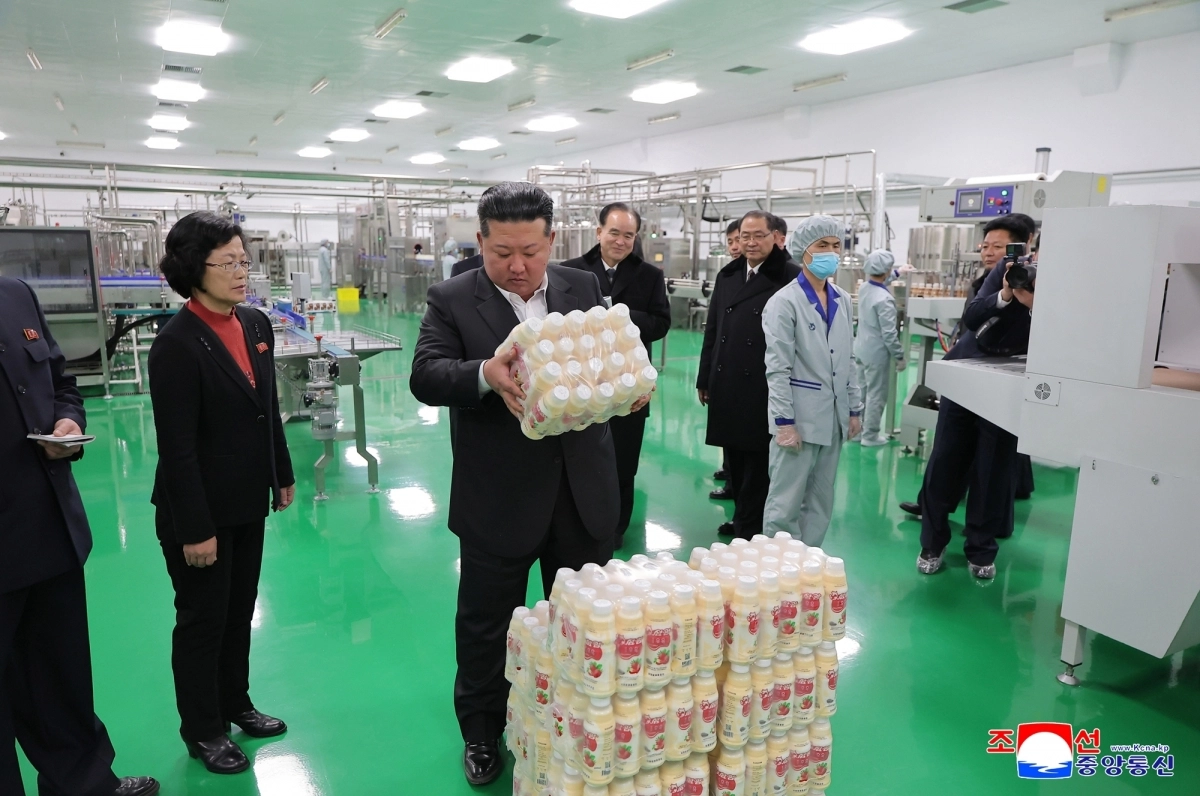 북한, 삼광축산농장 조업