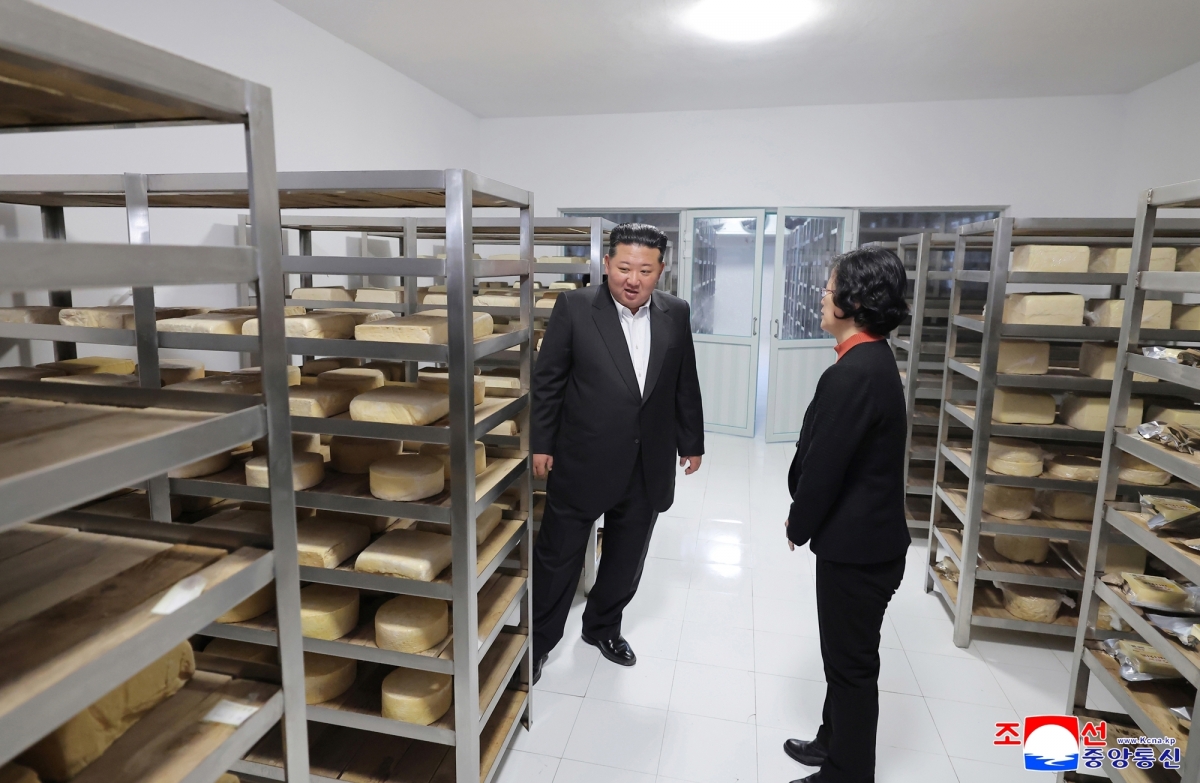 북한, 삼광축산농장 조업