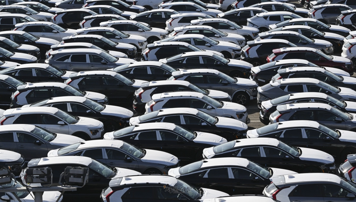 수출용 차량들이 27일 경기 평택시 평택항에 세워져 있는 모습. 2026.1.27 이지훈 기자