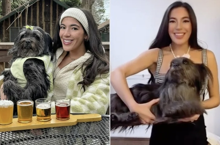 미국의 한 유명 인플루언서가 세상을 떠난 반려견을 ‘동결건조(freeze-drying)’ 방식으로 보존해 집 안에 두고 있는 모습을 공개해 온라인상에서 뜨거운 논란이 일고 있다. 클로이 청 인스타그램 캡처