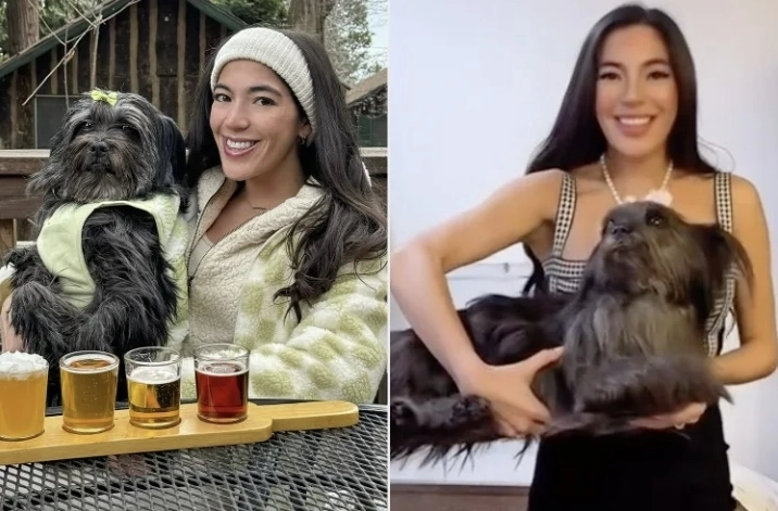 미국의 한 유명 인플루언서가 세상을 떠난 반려견을 ‘동결건조(freeze-drying)’ 방식으로 보존해 집 안에 두고 있는 모습을 공개해 온라인상에서 뜨거운 논란이 일고 있다. 클로이 청 인스타그램 캡처