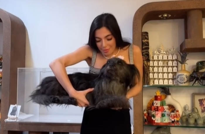 미국의 한 유명 인플루언서가 세상을 떠난 반려견을 ‘동결건조(freeze-drying)’ 방식으로 보존해 집 안에 두고 있는 모습을 공개해 온라인상에서 뜨거운 논란이 일고 있다. 클로이 청 인스타그램 캡처