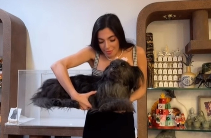 미국의 한 유명 인플루언서가 세상을 떠난 반려견을 ‘동결건조(freeze-drying)’ 방식으로 보존해 집 안에 두고 있는 모습을 공개해 온라인상에서 뜨거운 논란이 일고 있다. 클로이 청 인스타그램 캡처