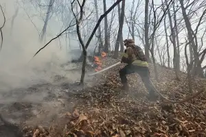 경북 경주 문무대왕면 산불 진화율 60→23% 뚝…“강풍 만나 확산”